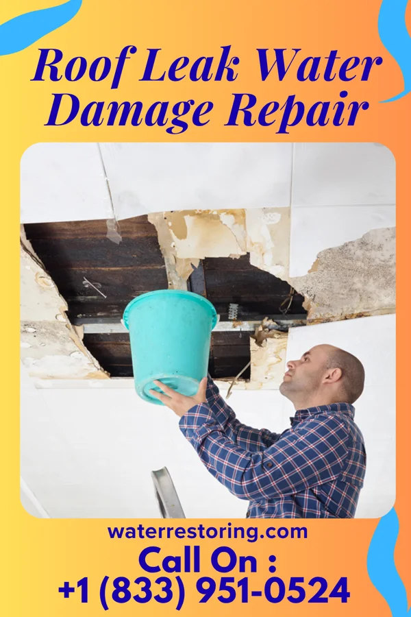 Roof Leak Water Damage Repair in Starkville, MS