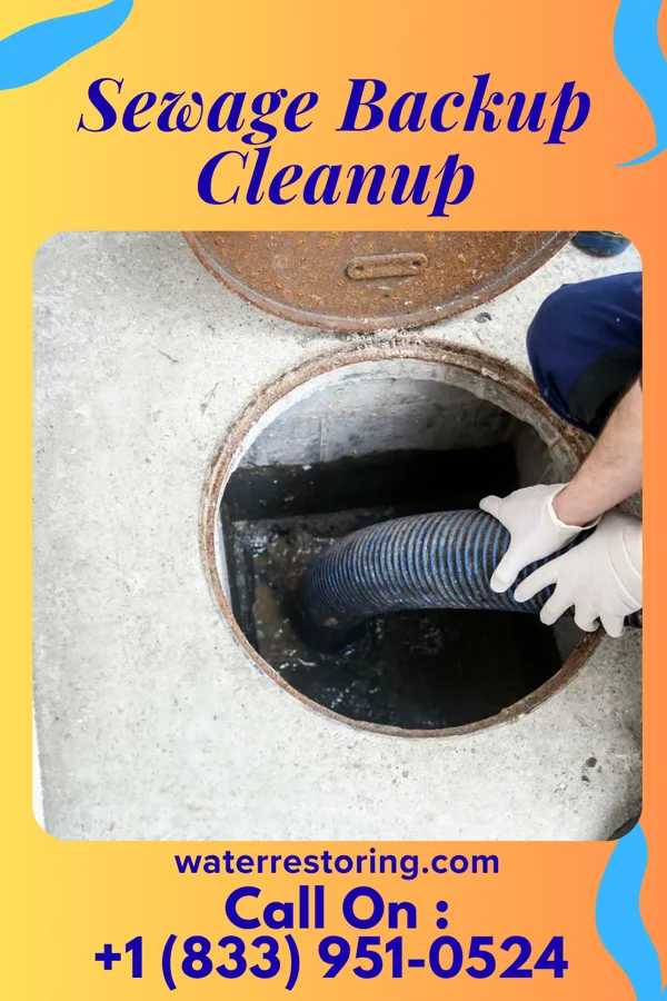 Sewage Backup Cleanup in Starkville, MS