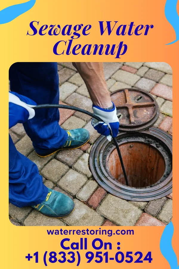 Sewage Water Cleanup in Starkville, MS